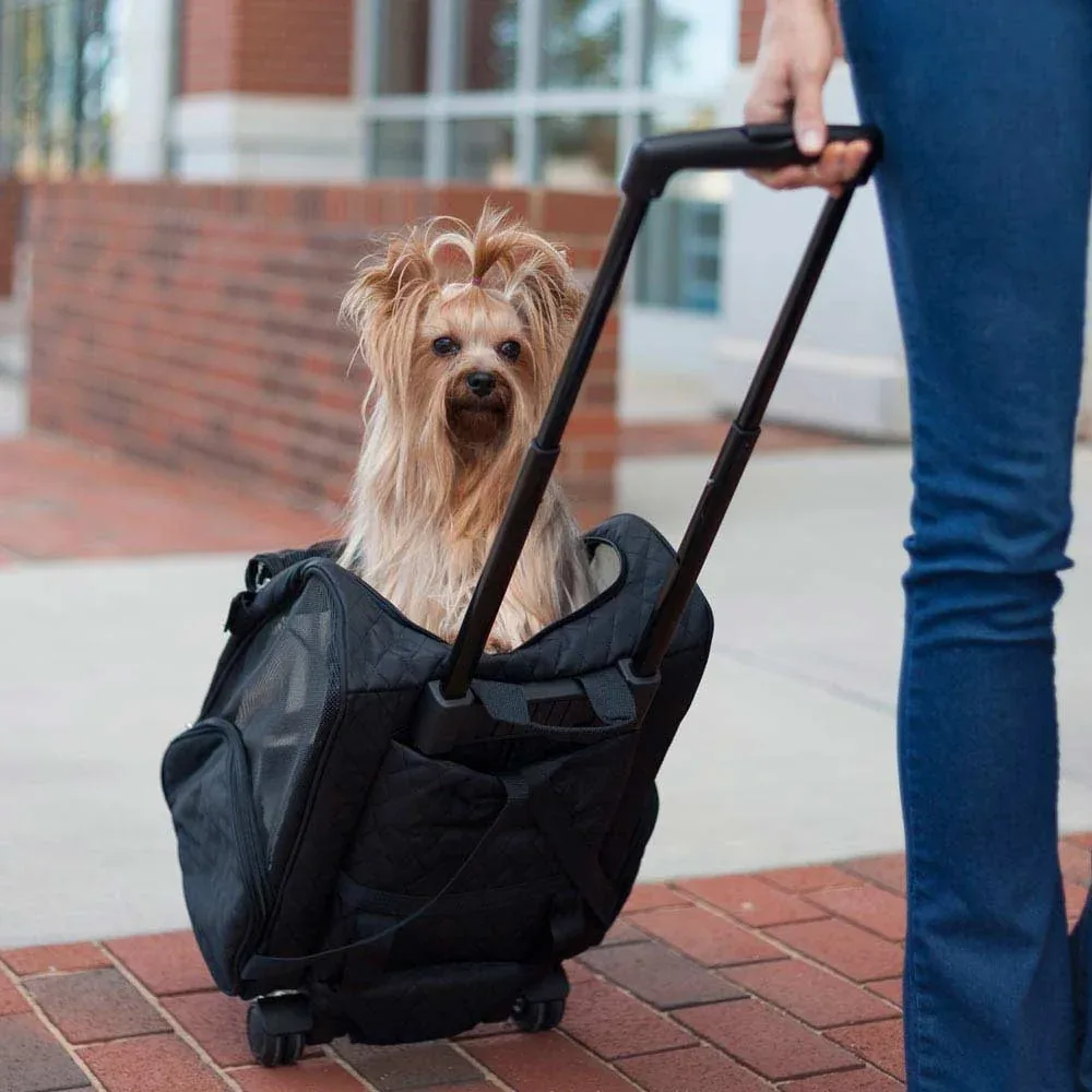 Pet Carrier UK: How to Choose the Best Carrier for Your Pet