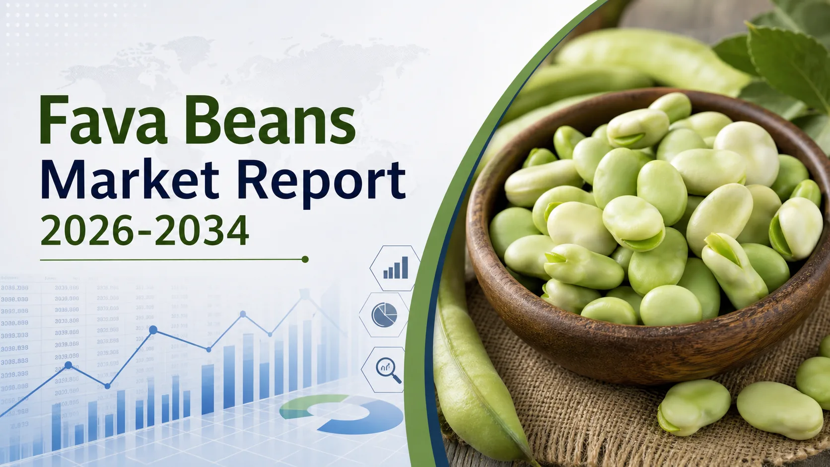 Fava Beans Market Growth: Size, Plant-Based Protein Demand & Industry Outlook 2026-2034
