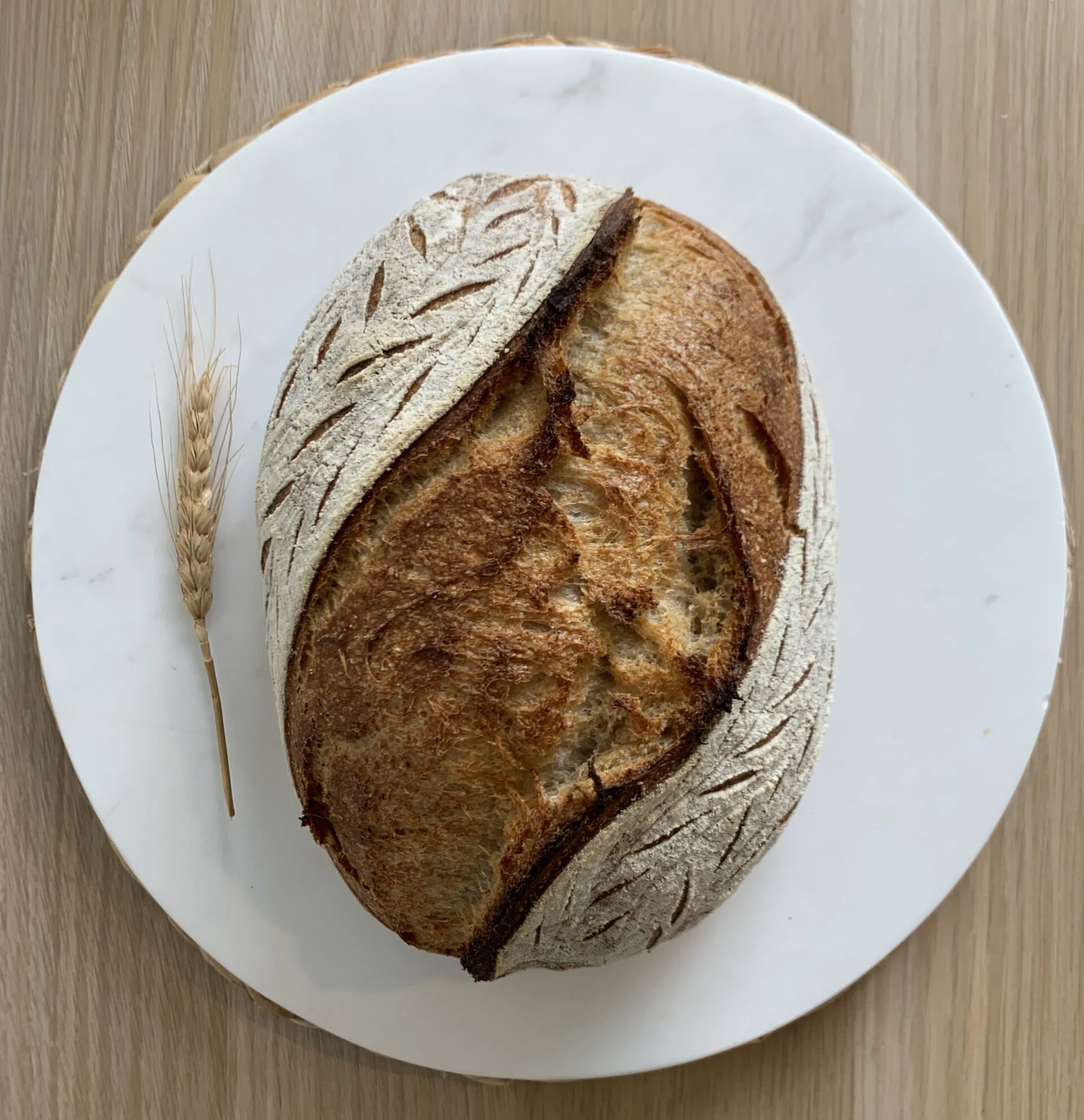 Why Every Baker Needs a Sourdough Freezing Storage Bag (Complete Guide)