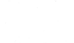 The Power of Humanized Content in the Digital Era