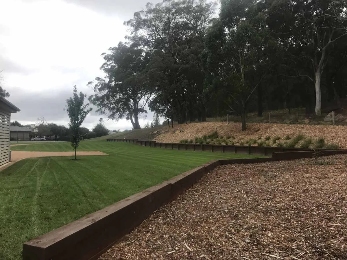 Turf and Lawn Services That Every Property Owner Needs