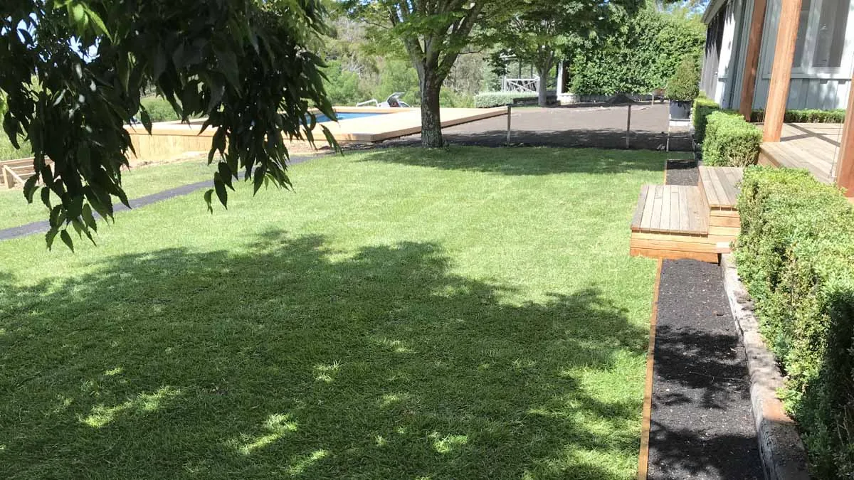 Turf and Lawn Services That Every Property Owner Needs