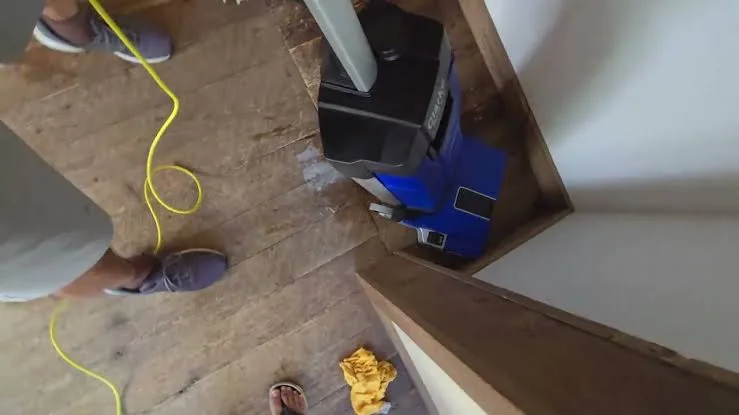 Which Airbnb Cleaners in Denver Use Eco-Friendly Products and Background-Checked Teams?
