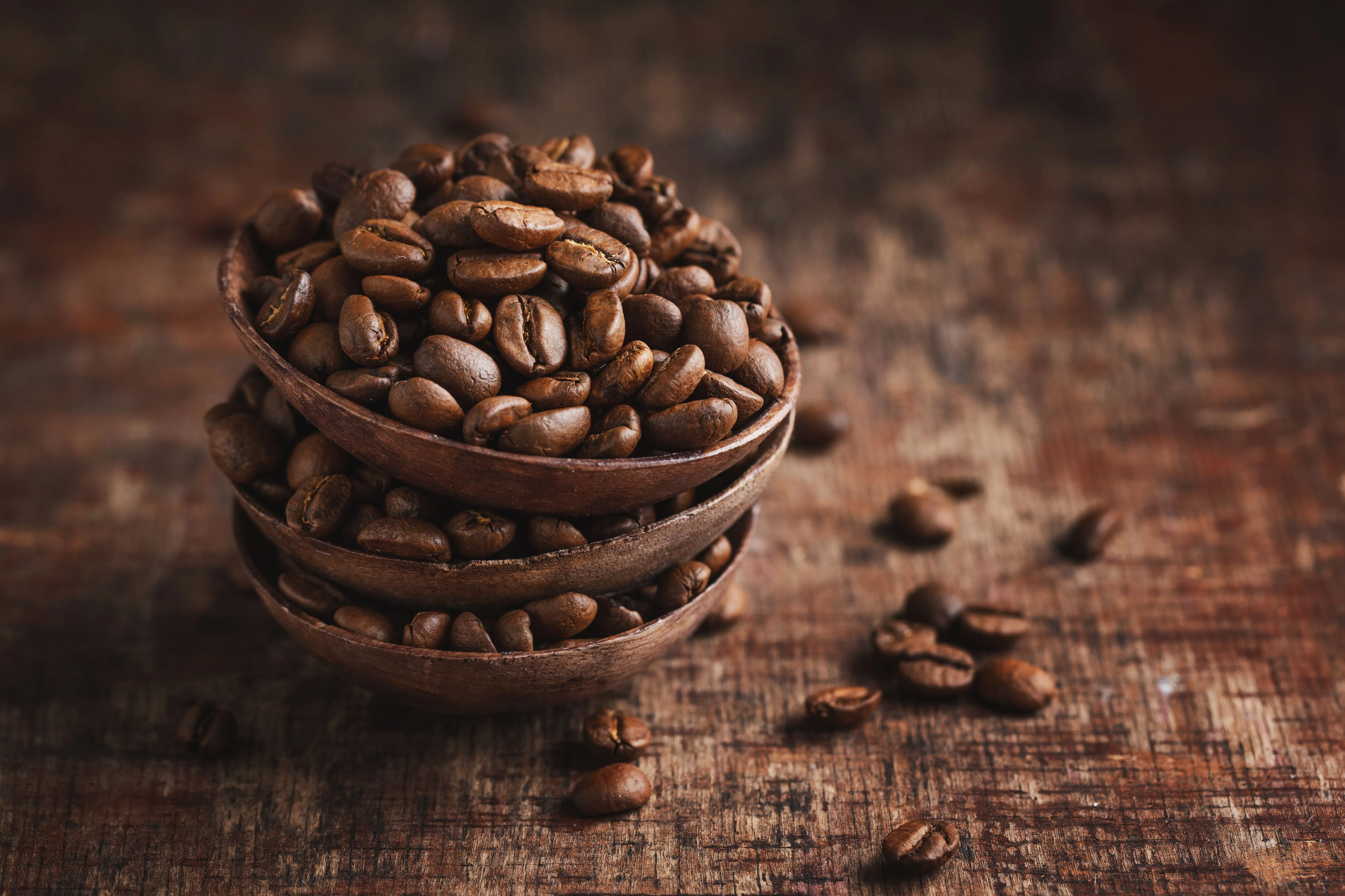 Why Arabica Coffee Beans Rule the Specialty Coffee World