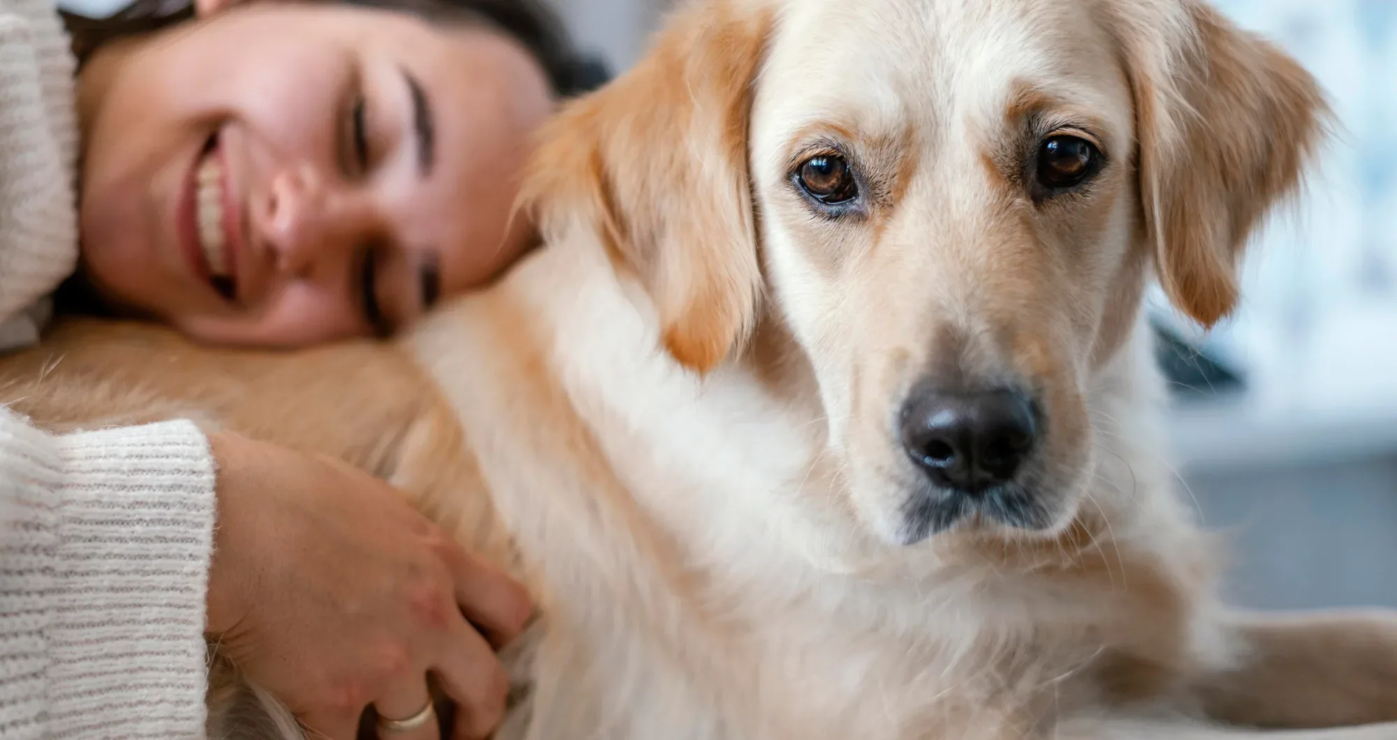 Atlanta Tenant Rights Under Georgia ESA Laws – A RealEsaLetter Guide