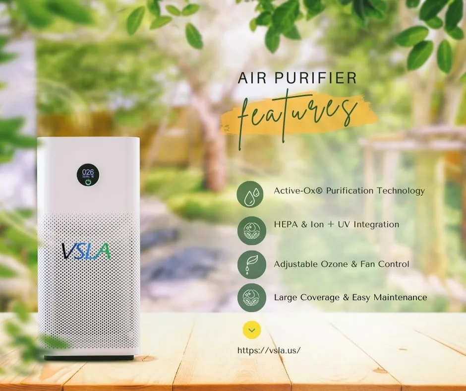 How Do Living Air Purifiers Improve Indoor Air?