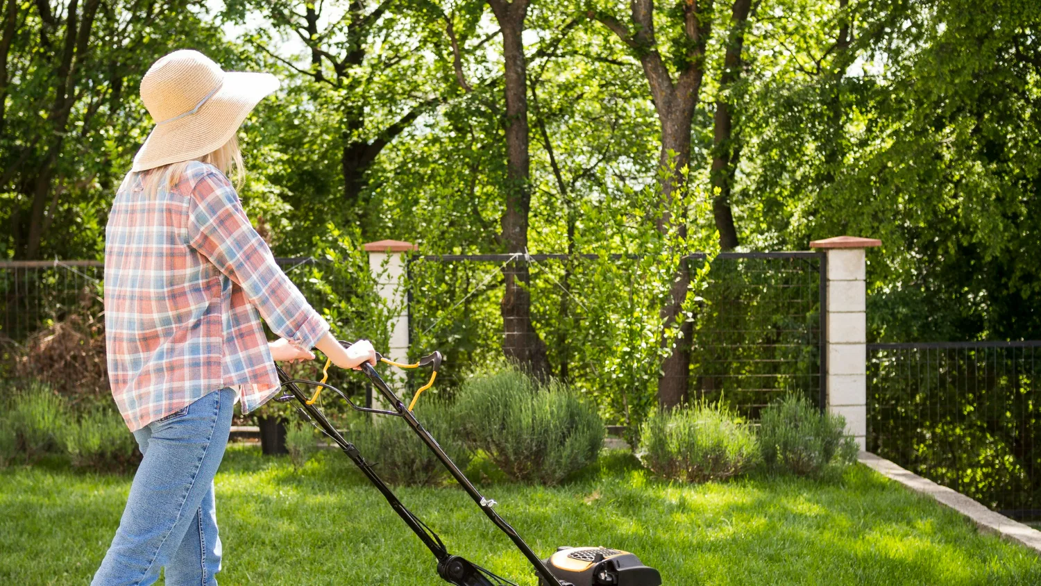 Why Plug Planting Can Be a Better Fit for Small Lawn Projects