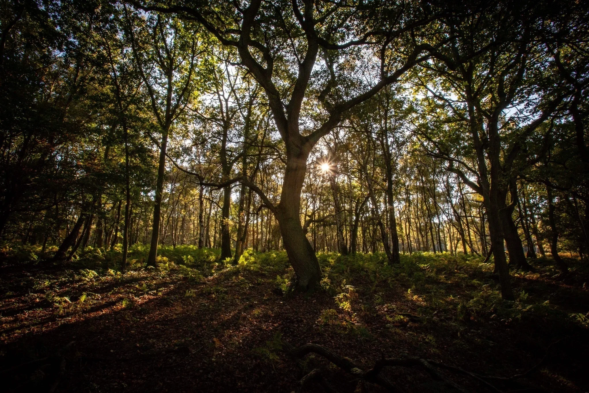 Abandoned Homes in London – When Estates Go Unclaimed
