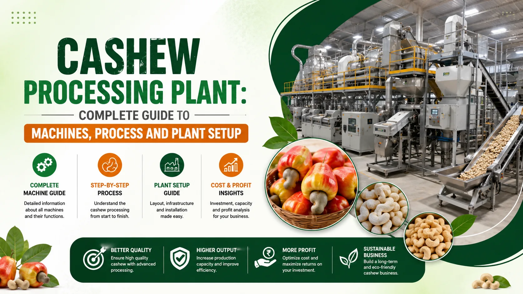 Cashew Processing Plant: Complete Guide to Machines, Process and Plant Setup
