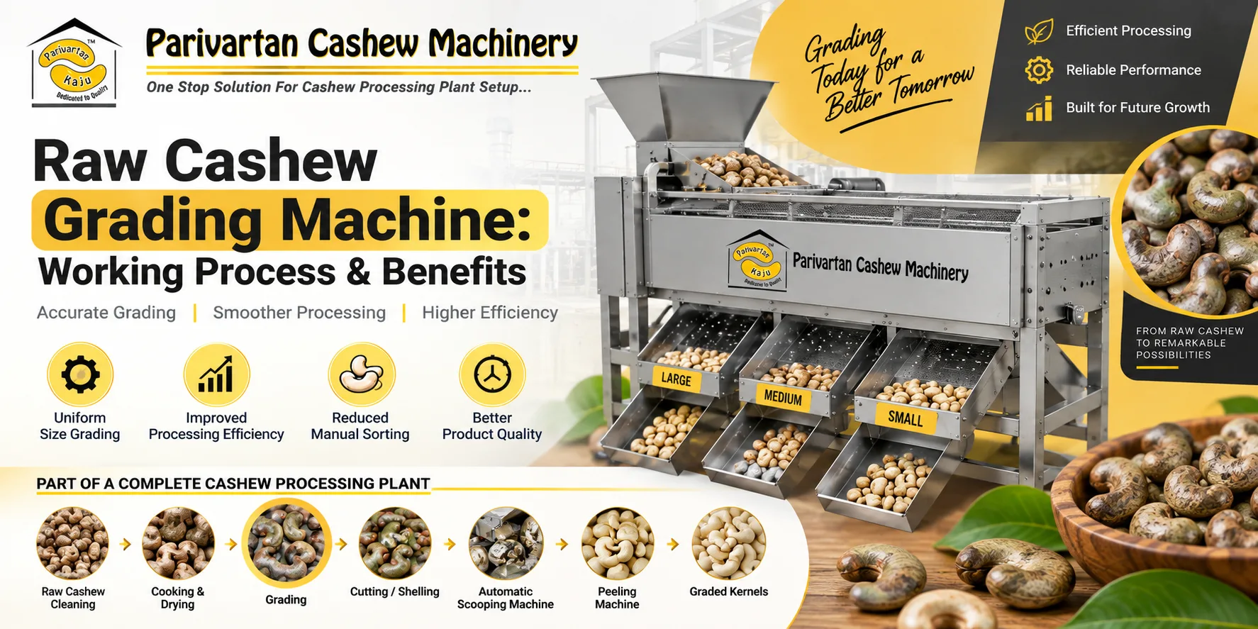Raw Cashew Grading Machine: Working Process & Benefits
