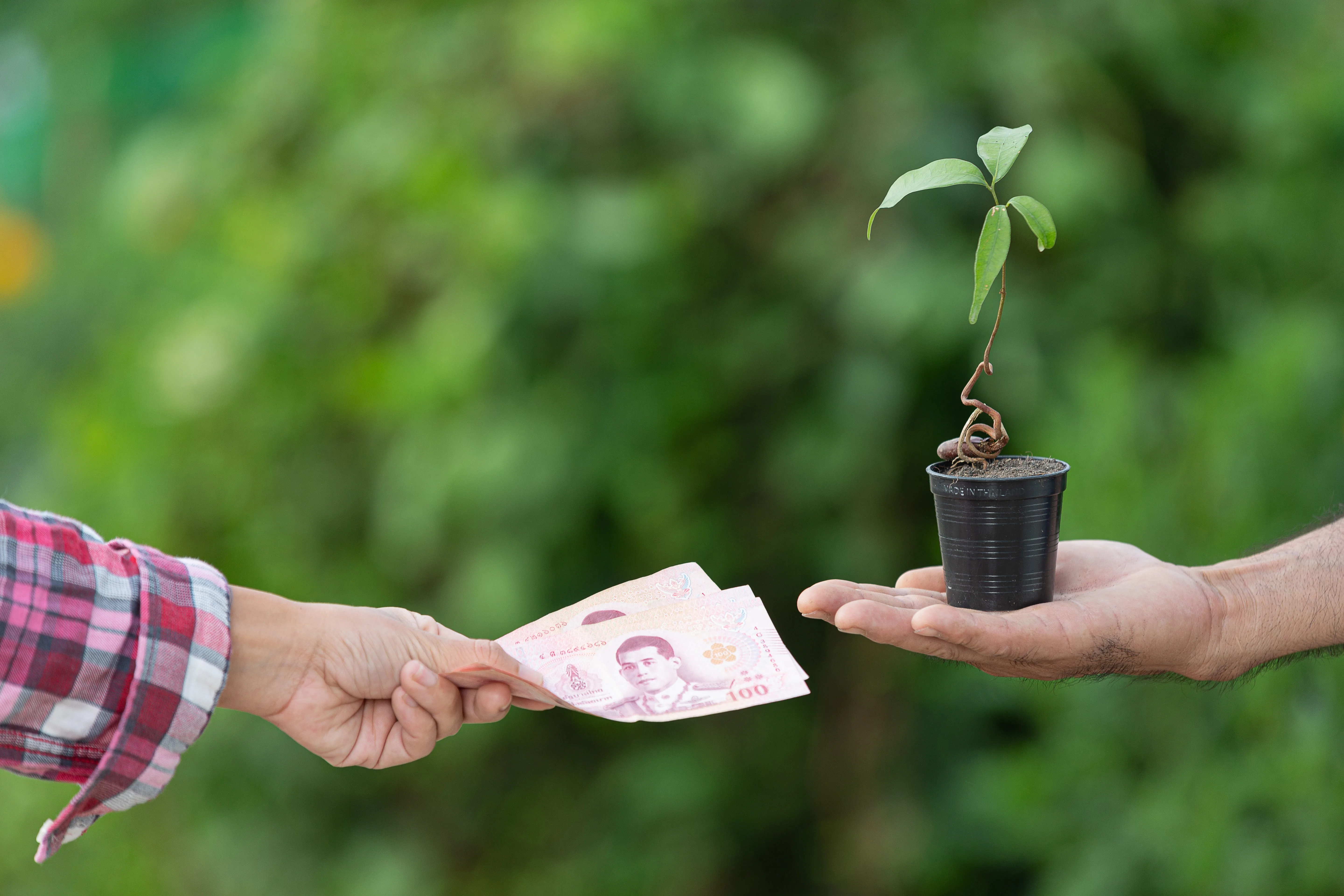 Financing a Small Farm: Practical Strategies for Aspiring Agricultural Entrepreneurs