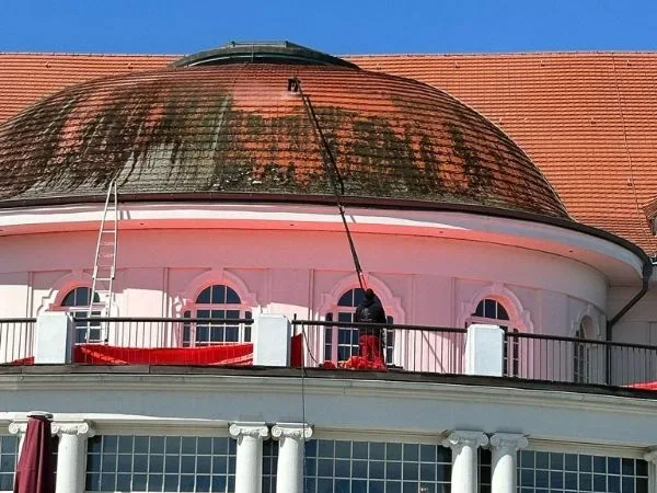 Professional Roof Cleaning Services for a Cleaner, Healthier Home