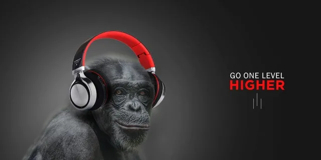 Why Businesses Fail Without a Strong Advertising Strategy