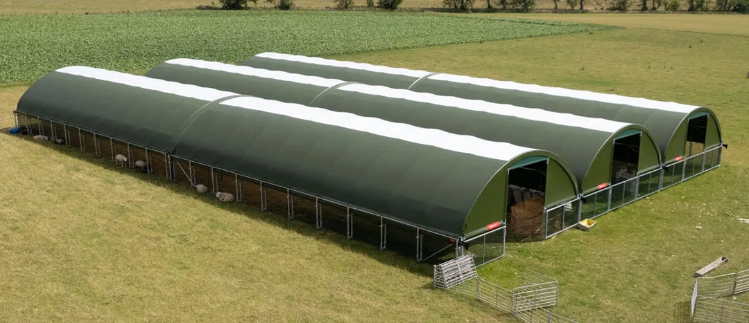 Agrarhalle richtig wählen: Die häufigsten Fehler im Überblick