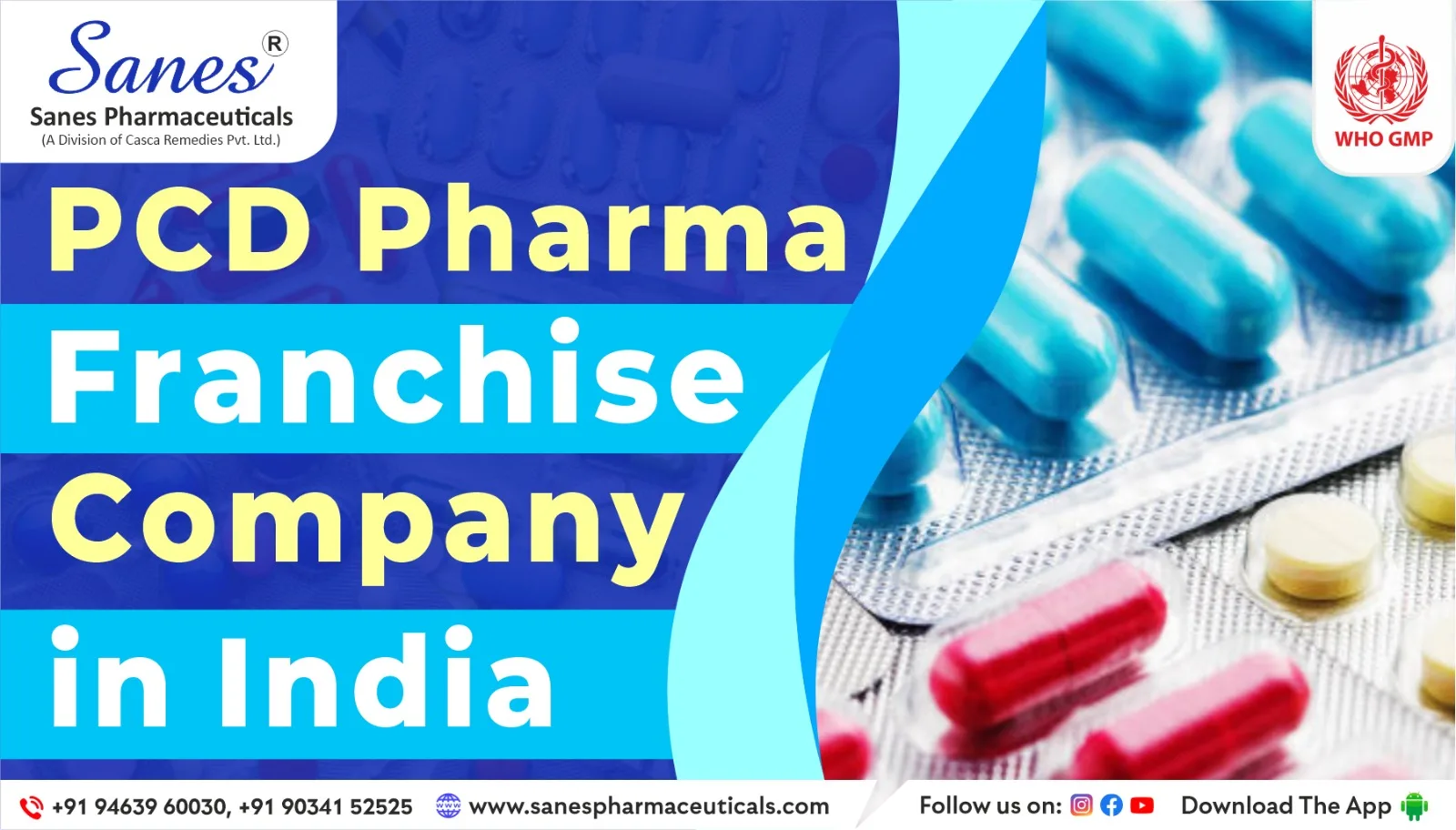 PCD Pharma Franchise For Nutraceuticals: A Sustainable Business Opportunity