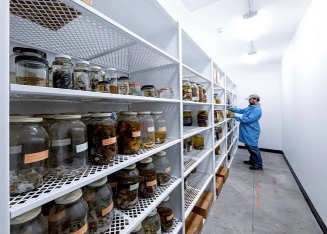 Wet Storage Market: Growth Trends, Opportunities, and Future Outlook
