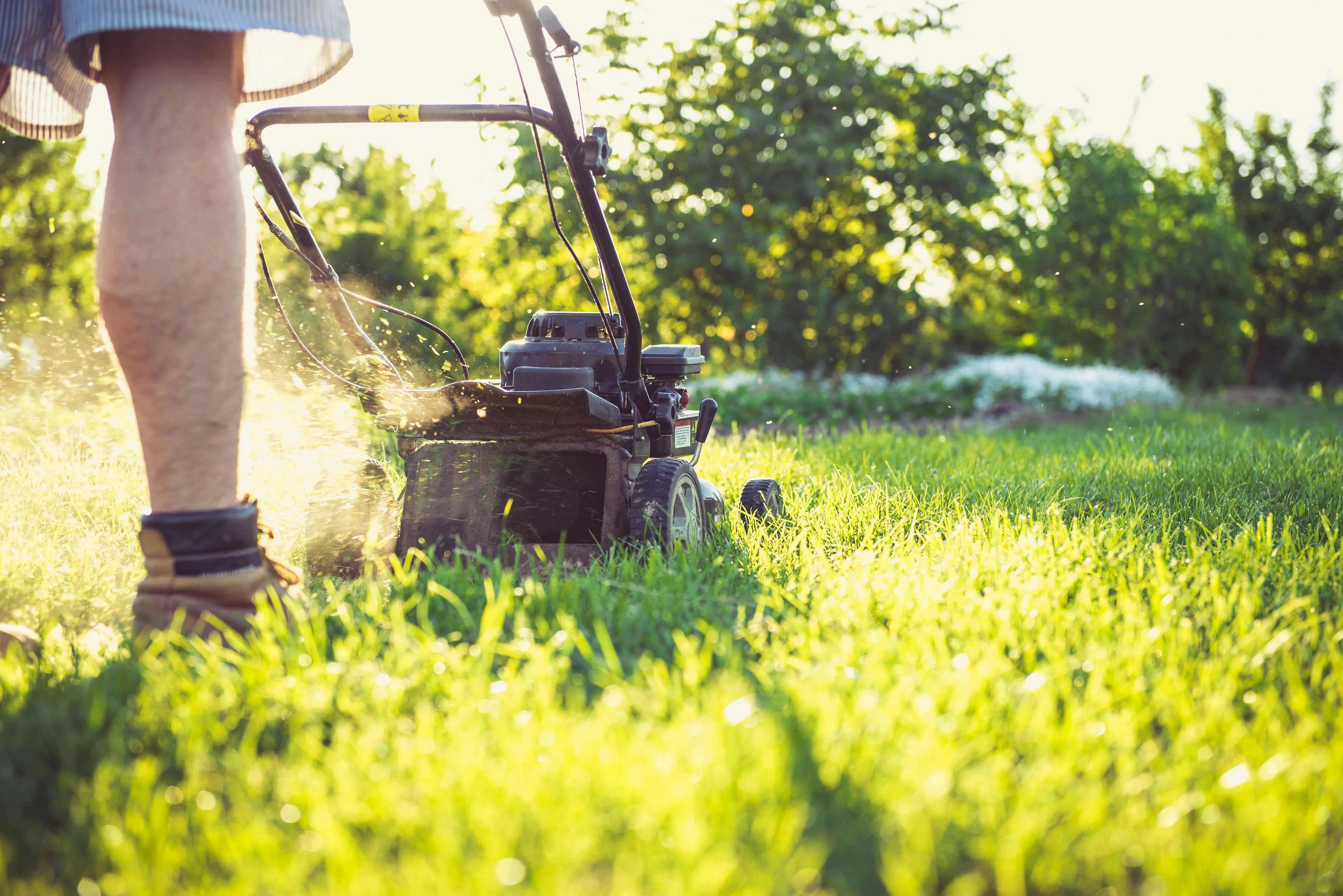 What to Expect from Modern Lawn Care Services