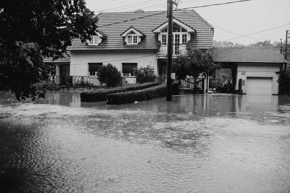 Water Damage Restoration in Pinellas County: What to Do in the First 24 Hours