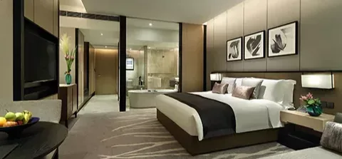 Frameless Folding Doors for Sale with Modern Design and Smooth Operation