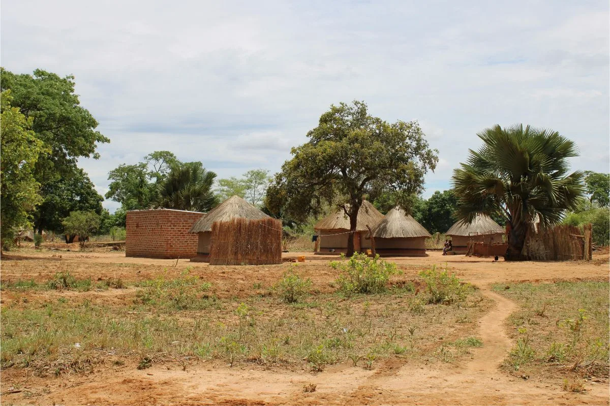Top Safari Experiences in Zambia