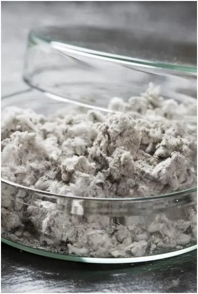 How Asbestos and Mould Testing Identifies Hidden Property Concerns