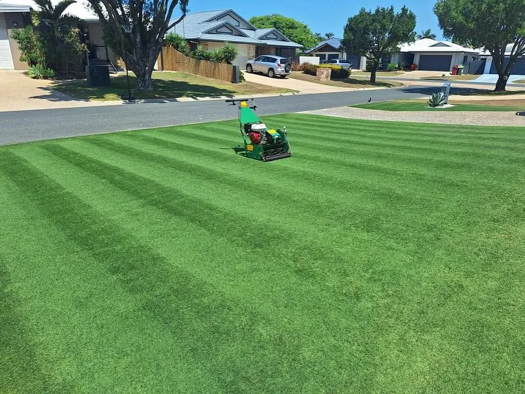 When Is the Best Time for Lawn Aeration in NH?