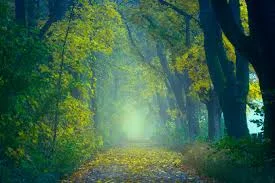 Nature’s Essential Gift to Our Planet