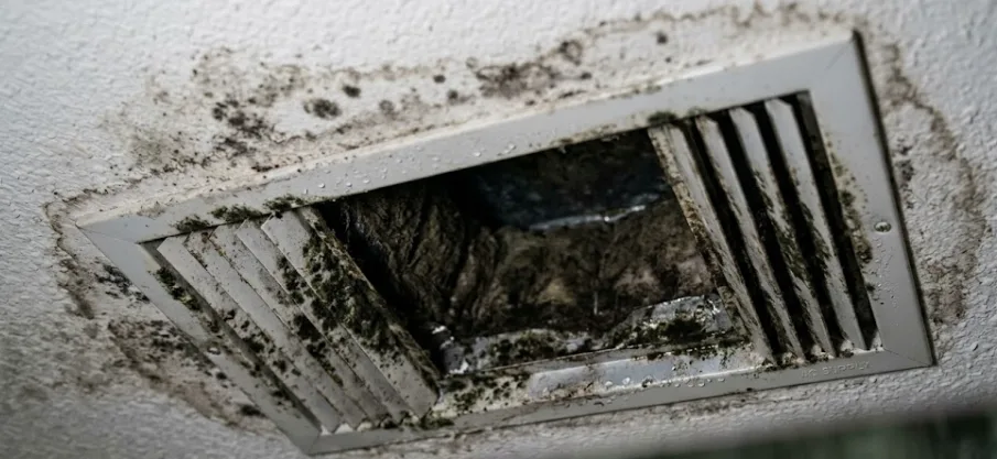 How HVAC Cleaning Helps Prevent Mold Growth in Florida Homes