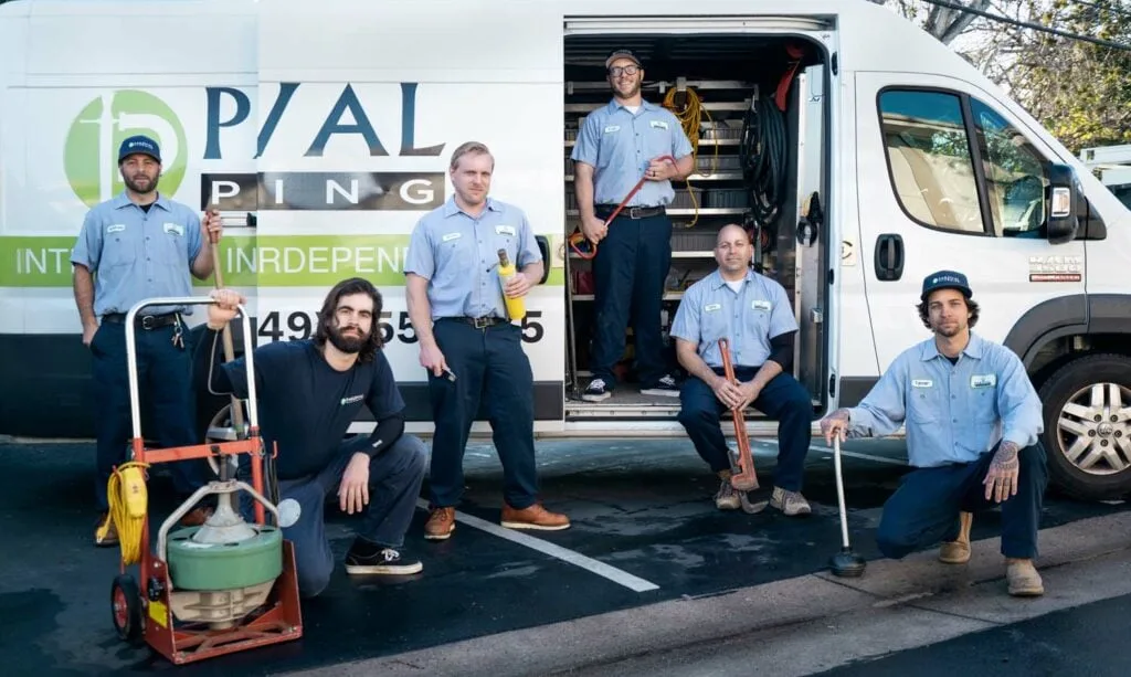 What Causes Drain Flies? Prevention Tips Every Homeowner Should Know