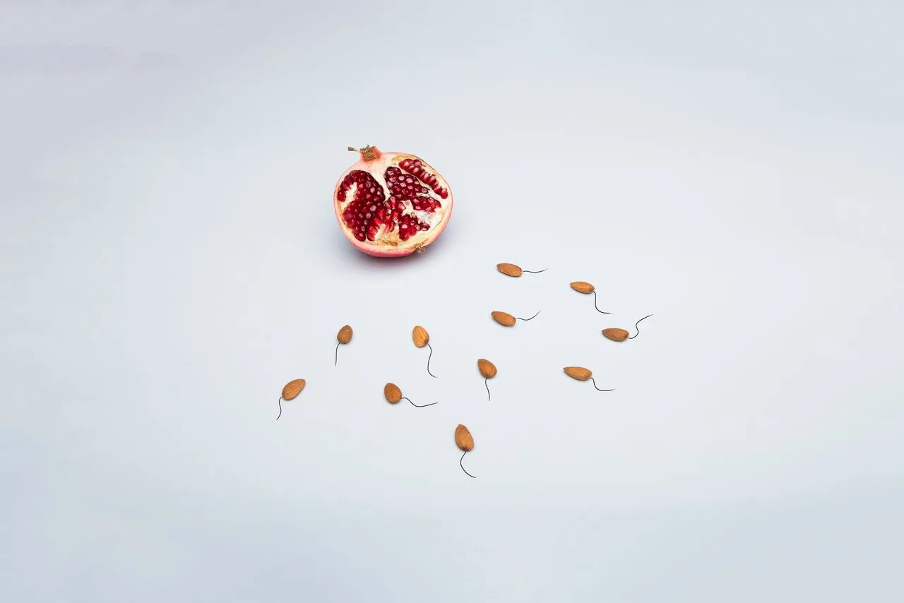 4 Ways to Feel More Empowered During Your Fertility Journey