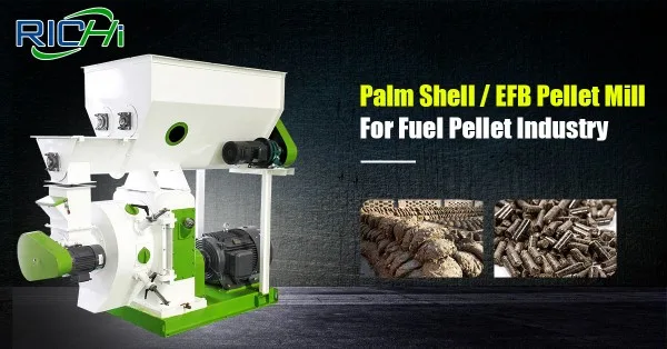 EFB Pelleting Line for Commercial Biomass Fuel Production