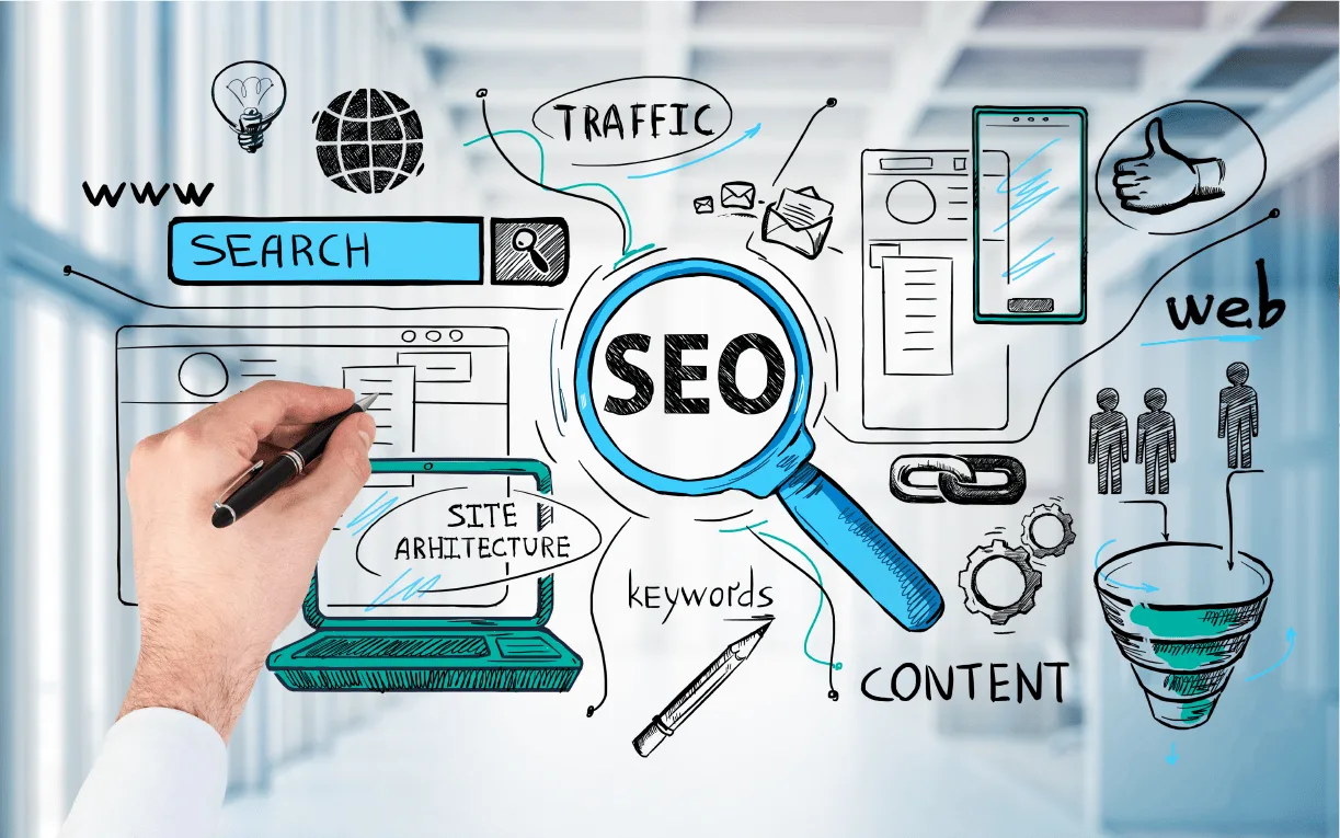 SEO Agency New Zealand: How Local Businesses Can Build Search Visibility