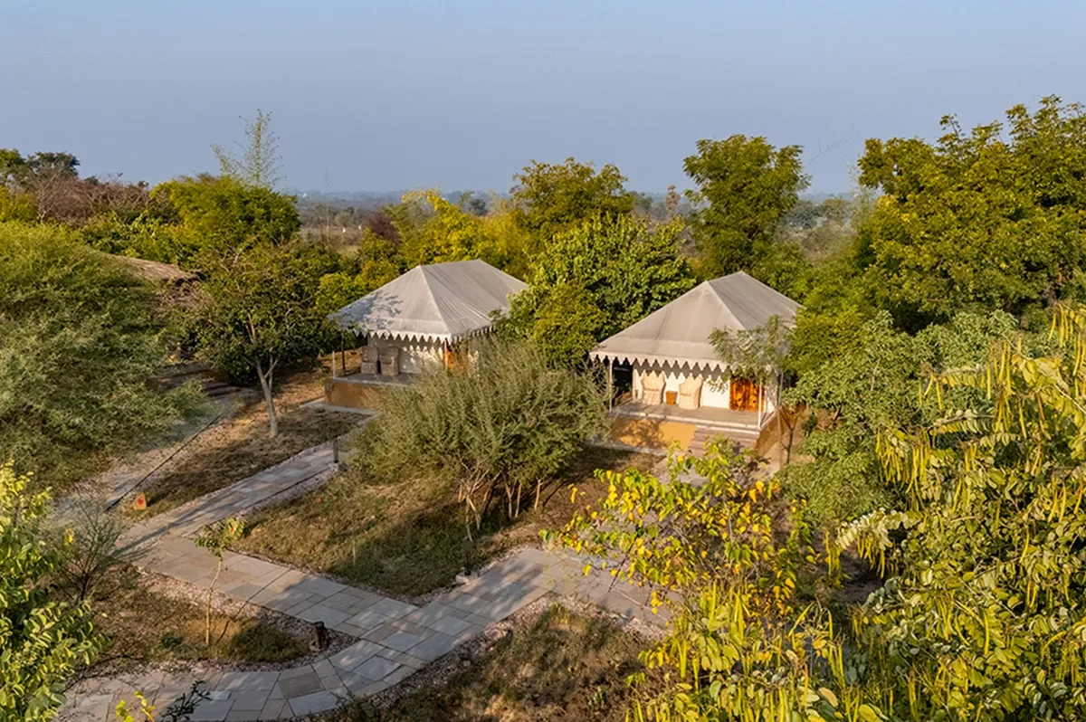 What Makes Beehad Resort Different from Every Other Stay in Sariska?