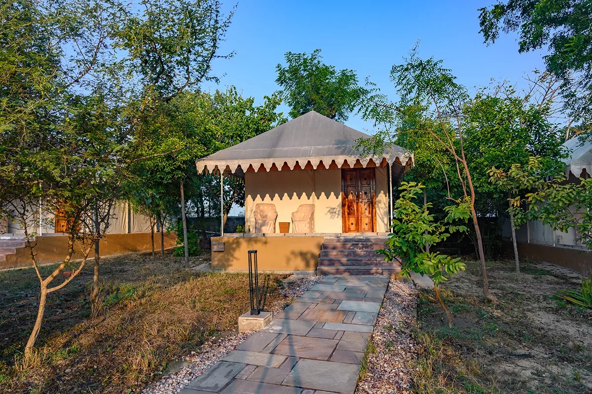 Sariska Camp Resort: Luxury Stay, Safari & Nature Guide