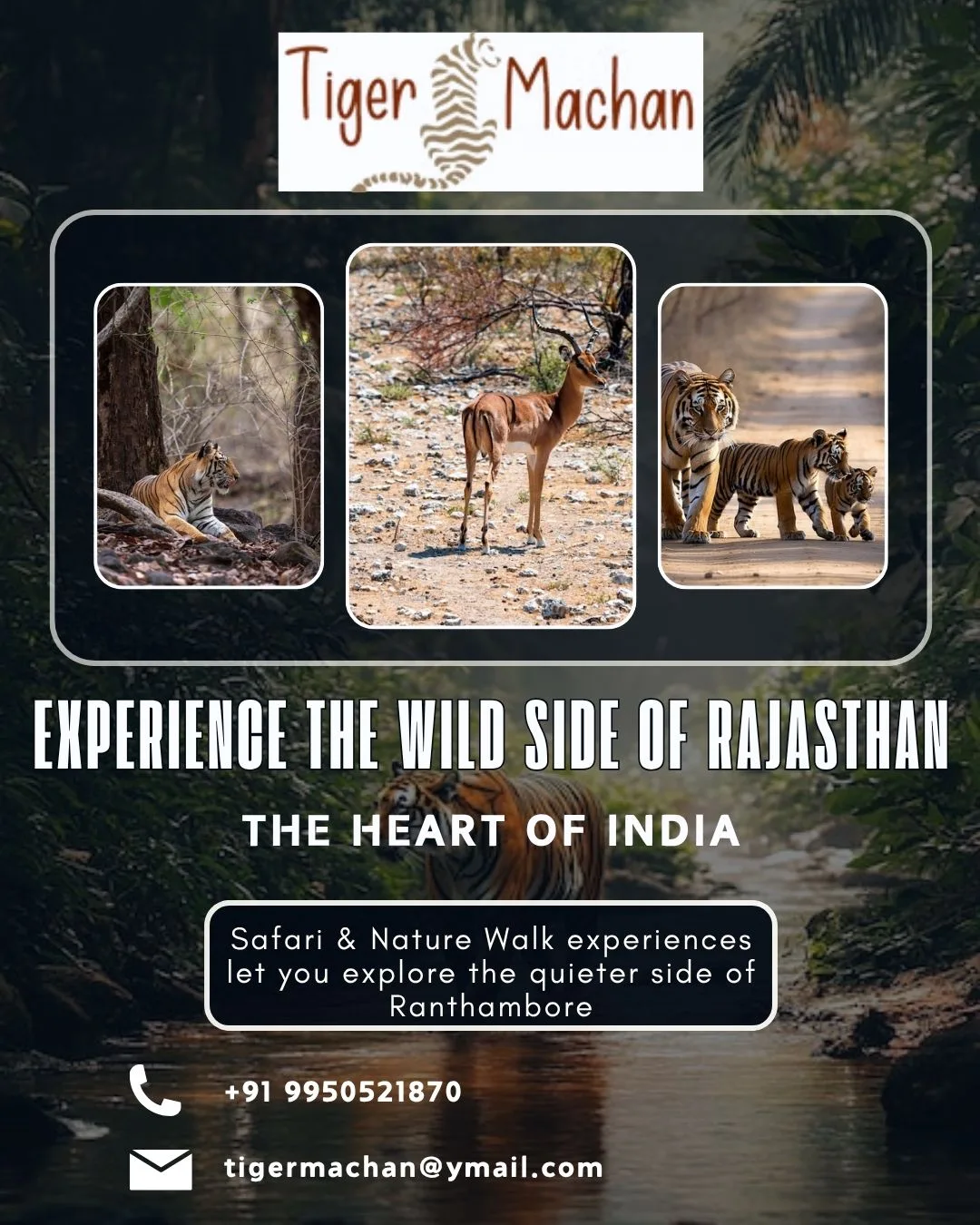 Experience the Wild Side of Rajasthan