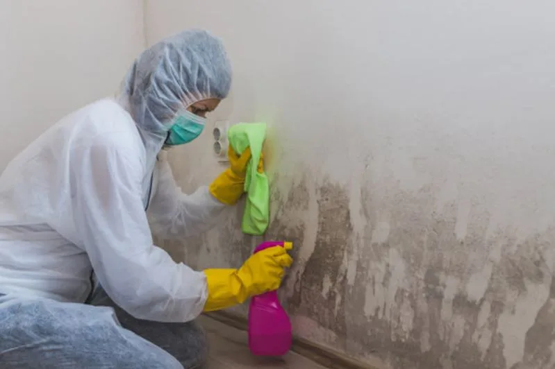 Why SOS Cleaning and Restoration Is the Trusted Choice for Mold Removal Service Near Me