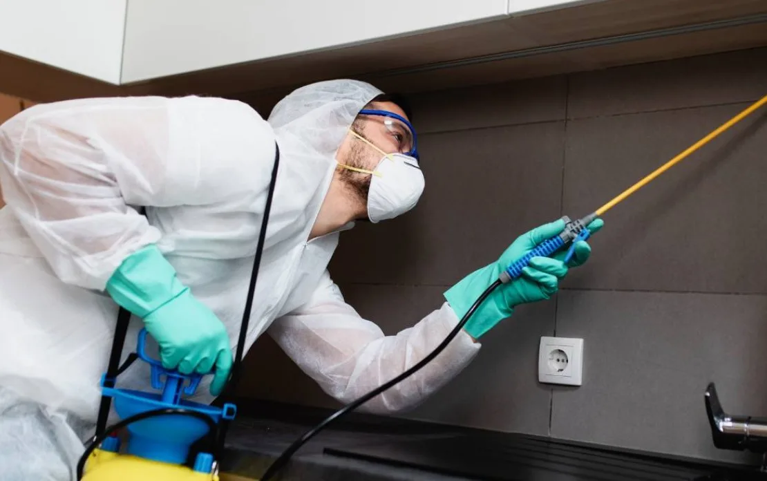 Tornado Pest Control: Reliable Cockroach Control Solutions
