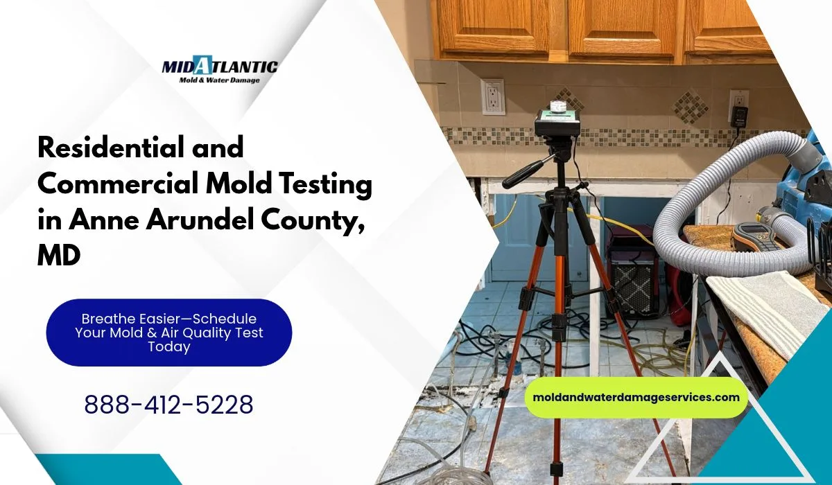Residential and Commercial Mold Testing in Anne Arundel County, MD