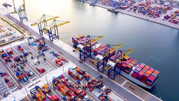 Custom Software Development Solutions for Logistics Businesses