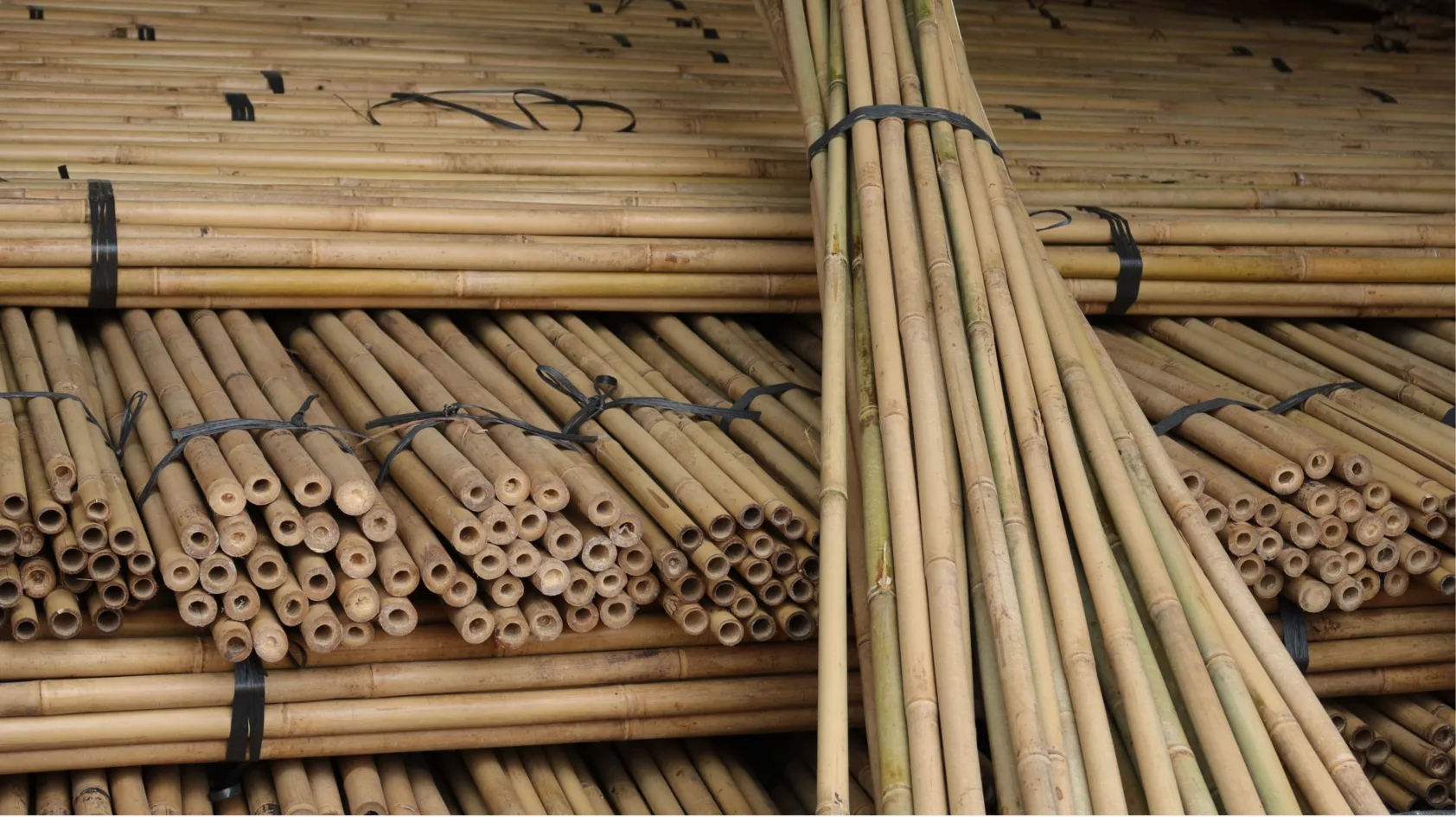 Who Is the Best Bamboo Cane DistributorYou Can Find?