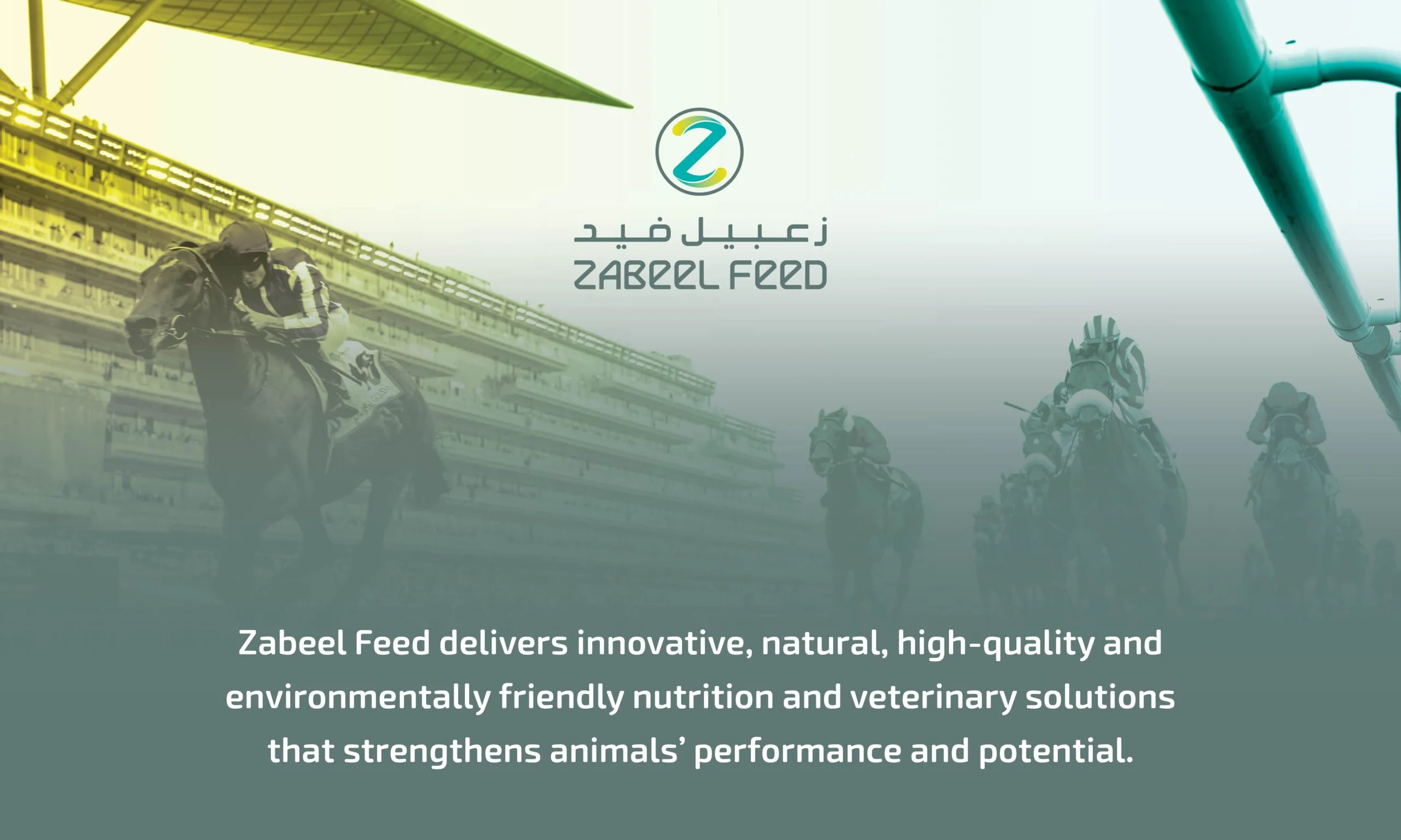 Benefits of Balanced Nutrition for Camels