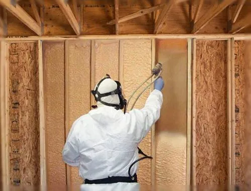 Why Are Loxley, AL Residential Properties Facing Mold Problems Due to the Wrong Insulation Choice?
