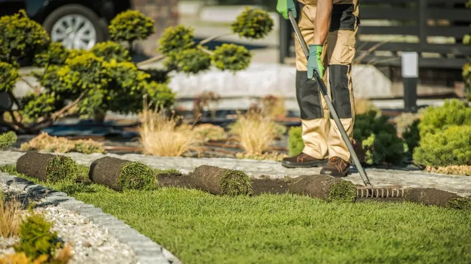 Premium-Quality Landscaping Services Now Readily Available For All Residents Living In New Roads, LA