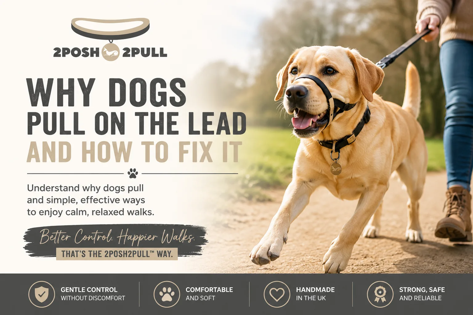 Why Dogs Pull on the Lead and How to Fix It