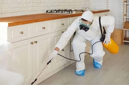 Residential Pest Control in Houston: Protecting Your Property