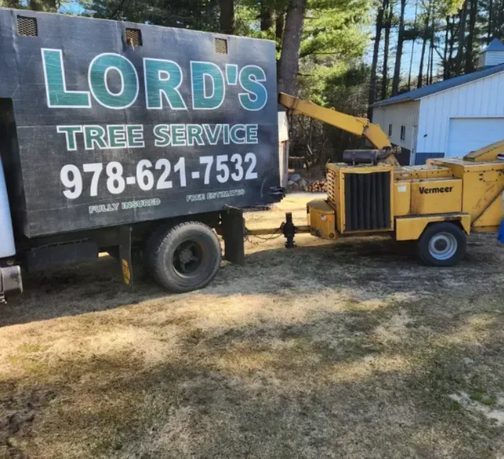 Yard Expansions at Lord's Tree Service LLC: Creating More Usable Outdoor Space