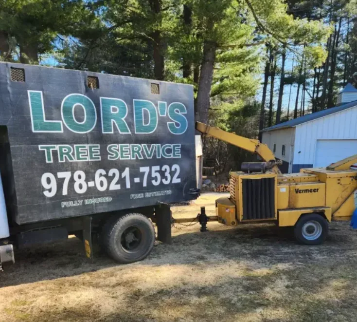 Storm Cleanup Services Offered by Lord's Tree Service LLC