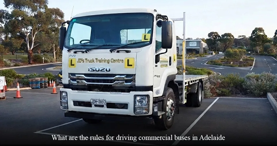What are the rules for driving commercial buses in Adelaide?