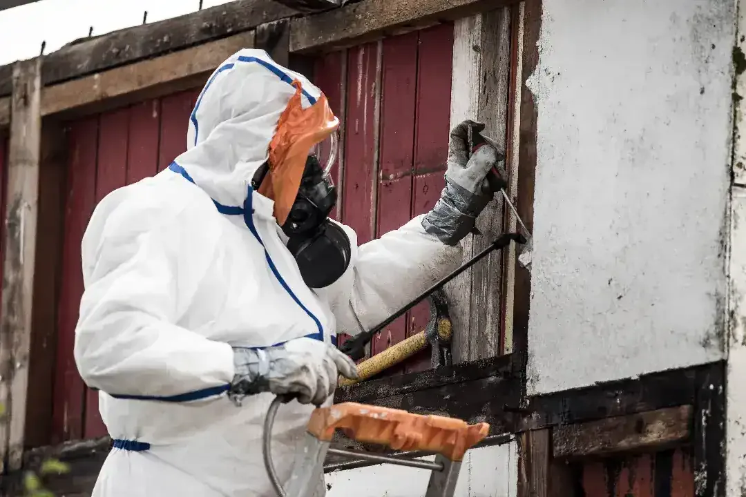 Top Benefits of Choosing Expert Asbestos Removal Services for Residential and Commercial Property Safety