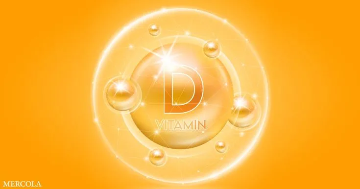 Smart Daily Nutrition Habits for Men and Women to Improve Energy, Immunity, and Overall Wellness